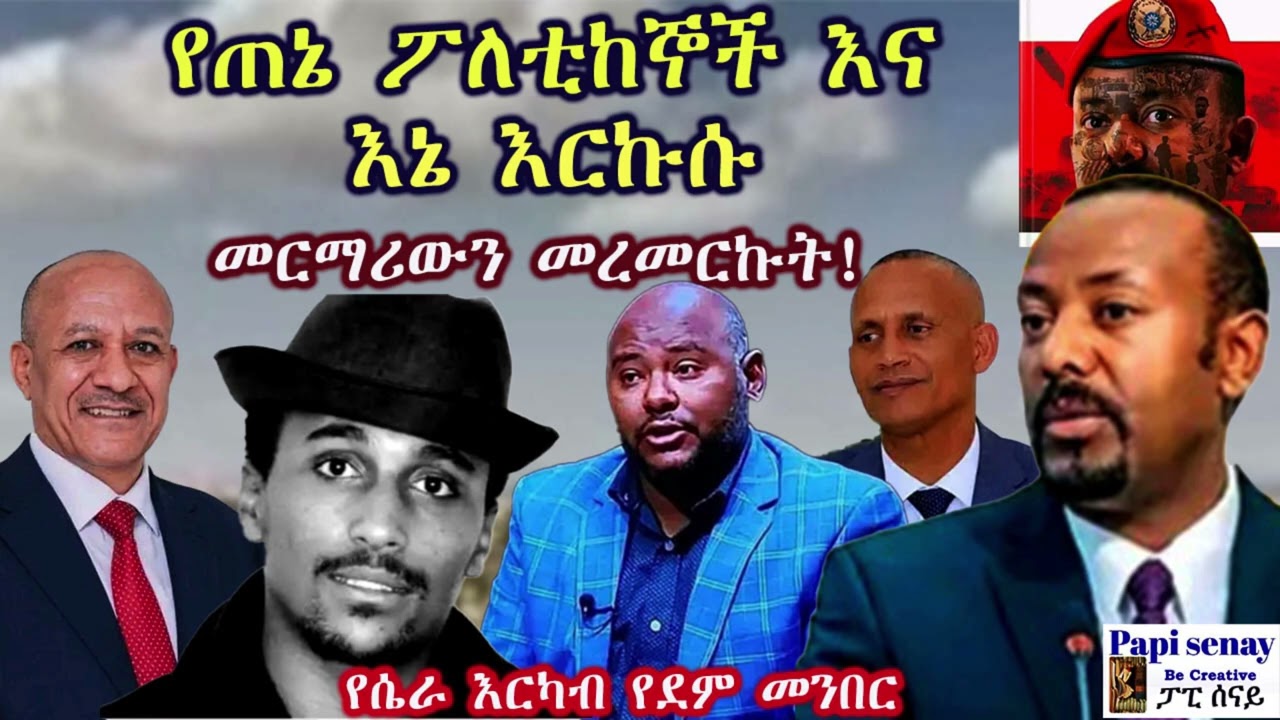 የጠኔ ፖለቲከኞች እና እርኩሱ እኔ፤ መርማሪውን መረመርኩት! #papisenay #ፓፒሰናይ #ትረካ #amharicaudiobooks #audiobook