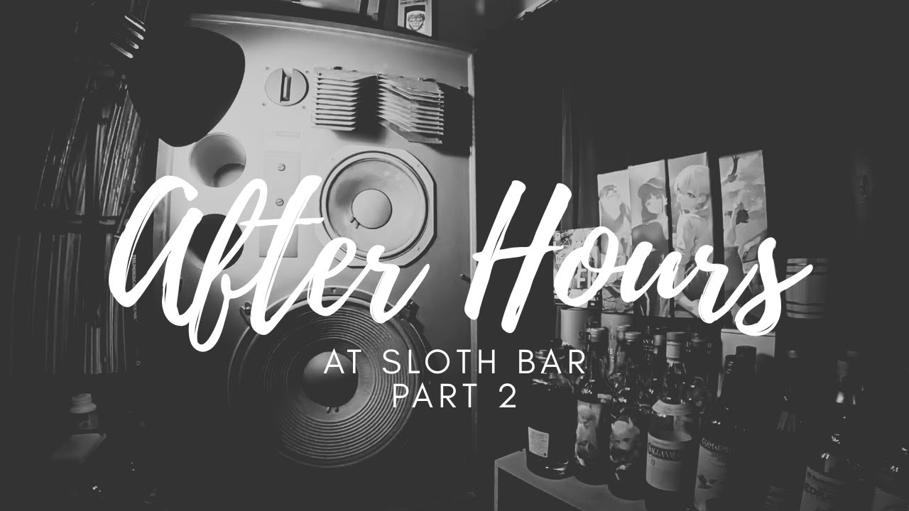 🍷After Hours at Sloth Bar Part 2 : Lovers Rock, Disco Reggae, Funky Reggae | Vinyl Mix Set🎶