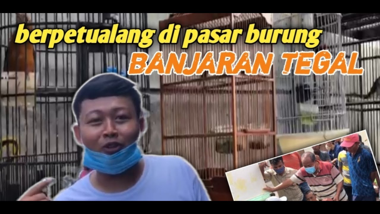 Berpetualang di pasar burung banjaran TEGAL