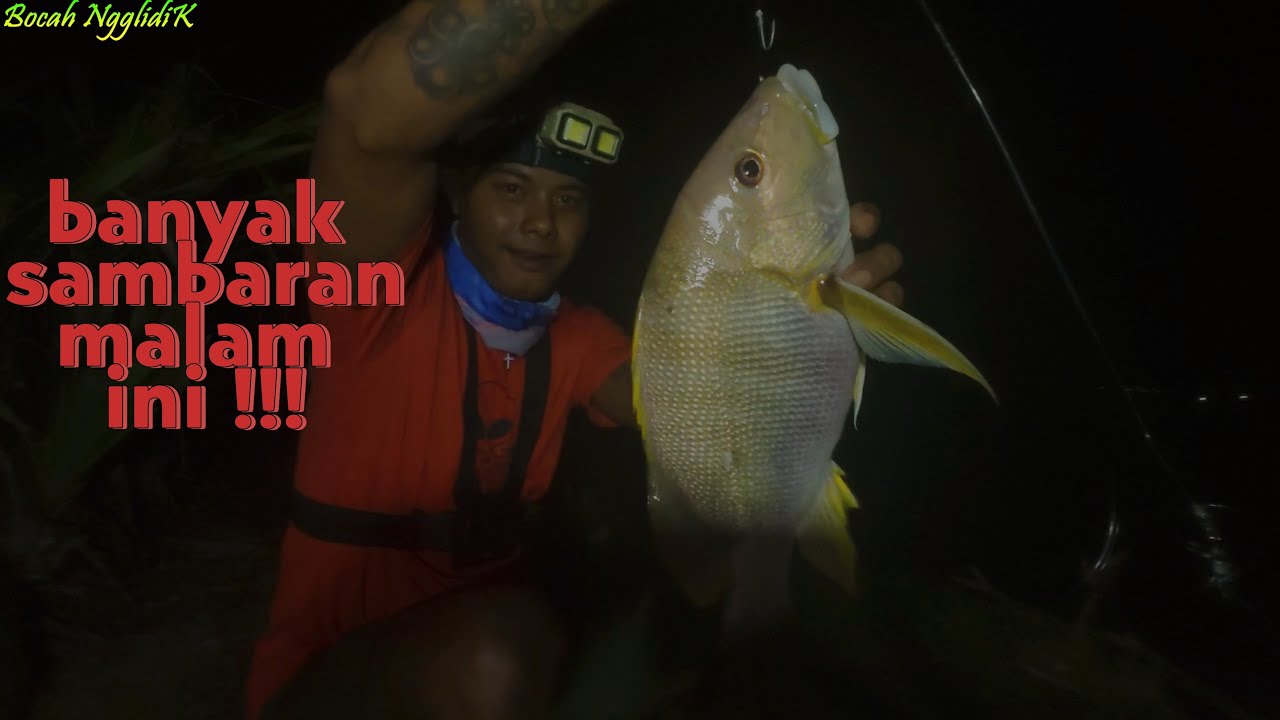 rockfising strike maori snaper#fishingvideo #mancingviral #rockfishing #jogjarockfishing
