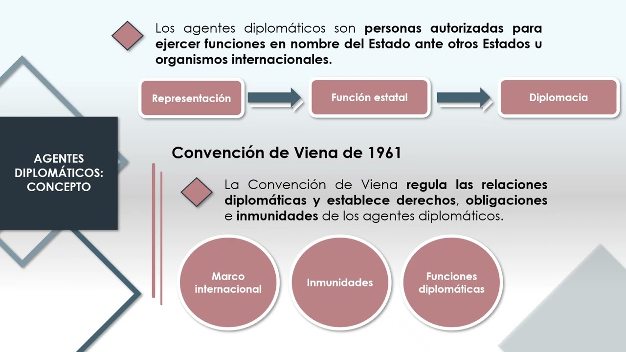 12. Responsabilidad de los Organismos Internacionales