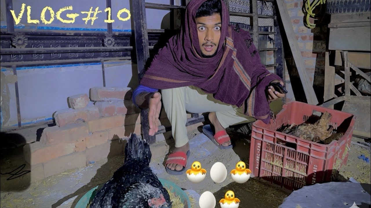 Andon ki inspection 🧐🤫||zohaibchita|| vlog10