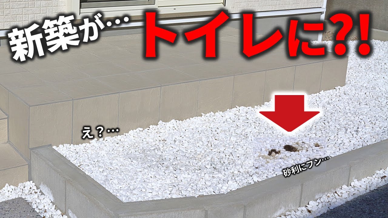 【新築外構】糞害が止まった。即日効果があった猫対策は？14日間検証結果