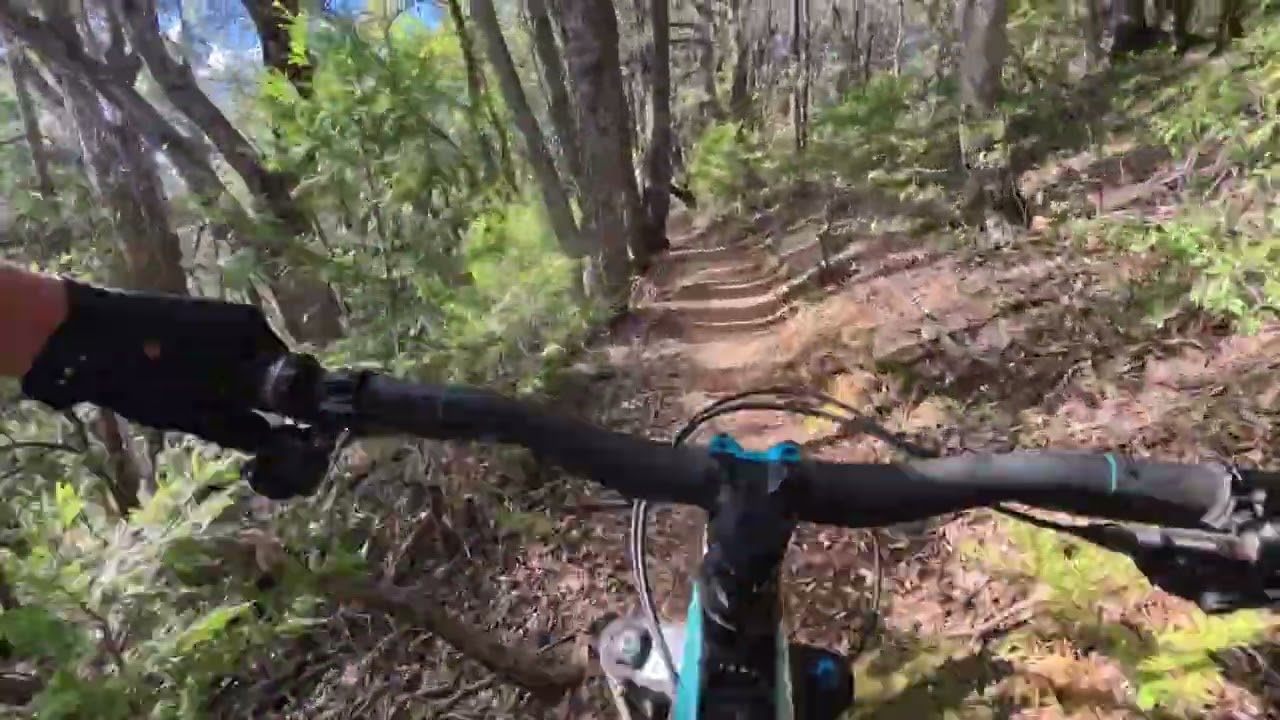 56th Birthday Weekend - Miners Trail