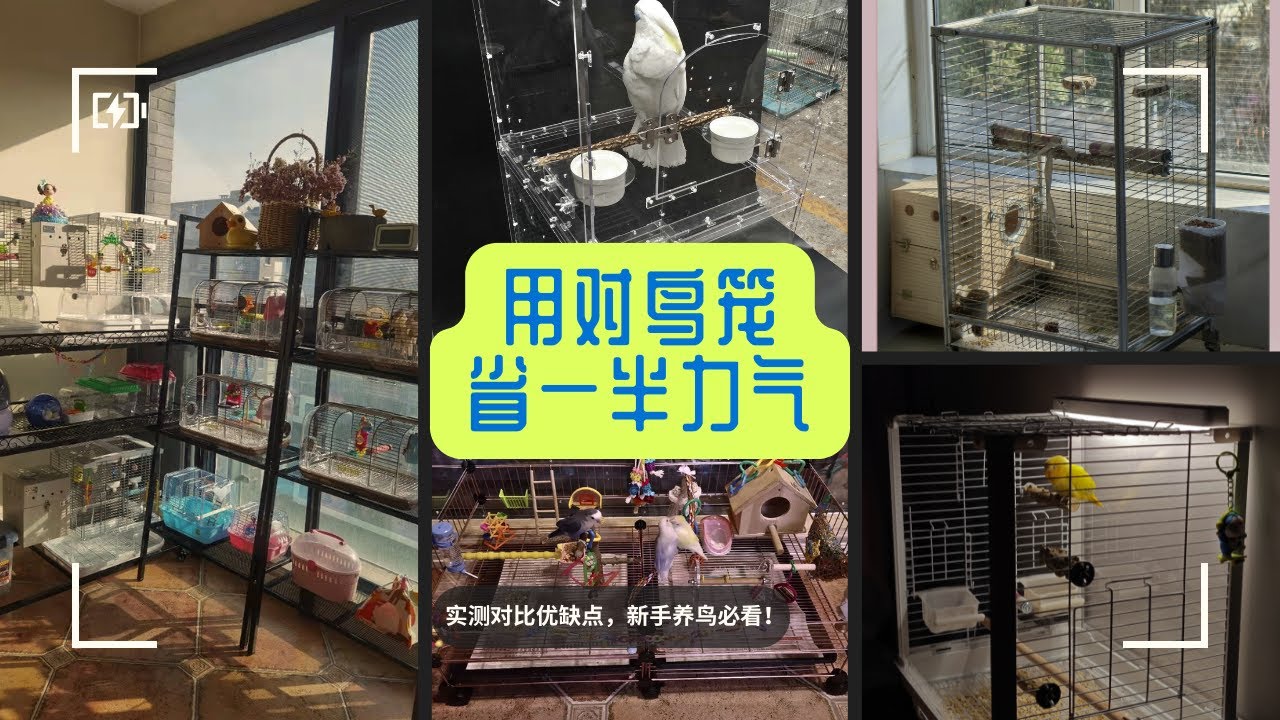 鸟笼优缺点大揭秘！用对鸟笼省一半力气  ！