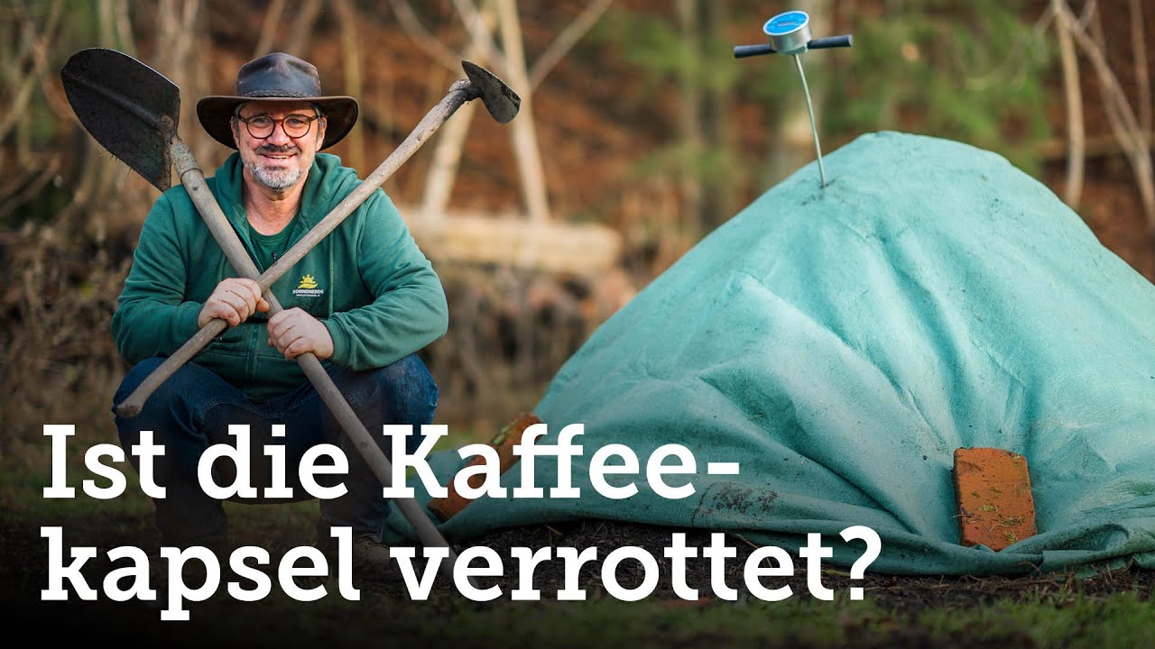 Kaffeekapsel-Kompostierung im Winter: Hat es funktioniert?