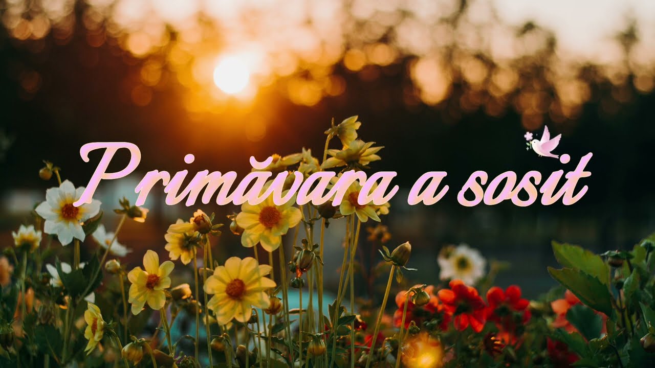 Primăvara a sosit | C&acirc;ntec NOU 2026