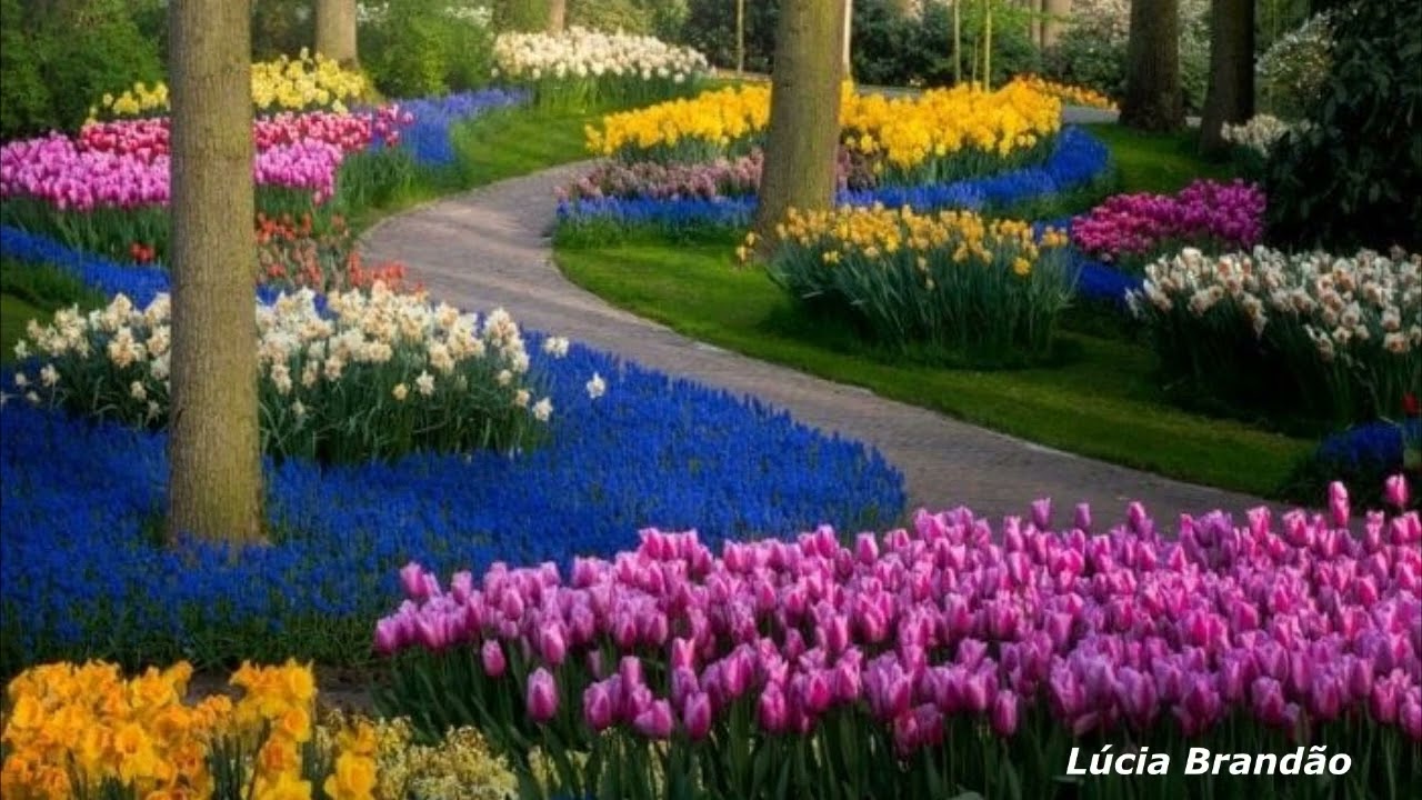 Jardim Iluminado