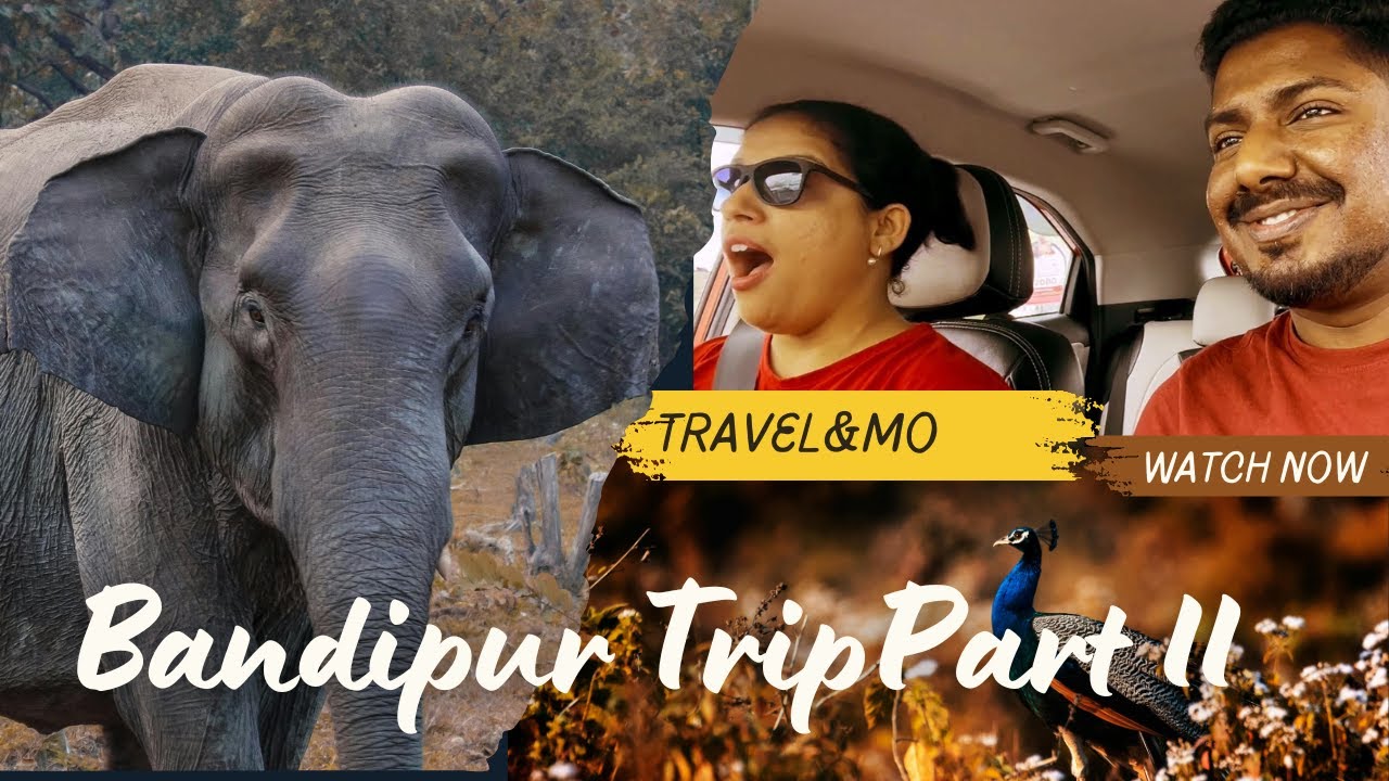 Unplanned Trip | Bandipur Part II | Karnataka Tourism | travel&mo