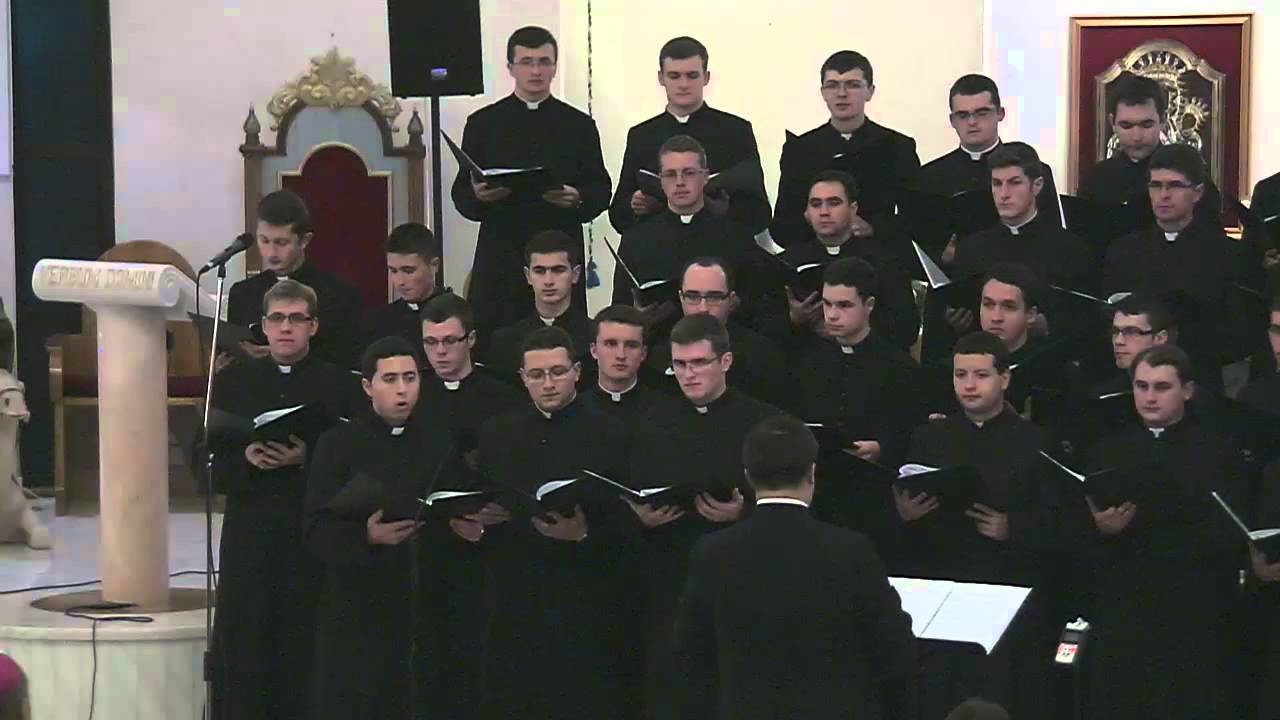 Concertul corului seminaristilor (22 decembrie 2013)