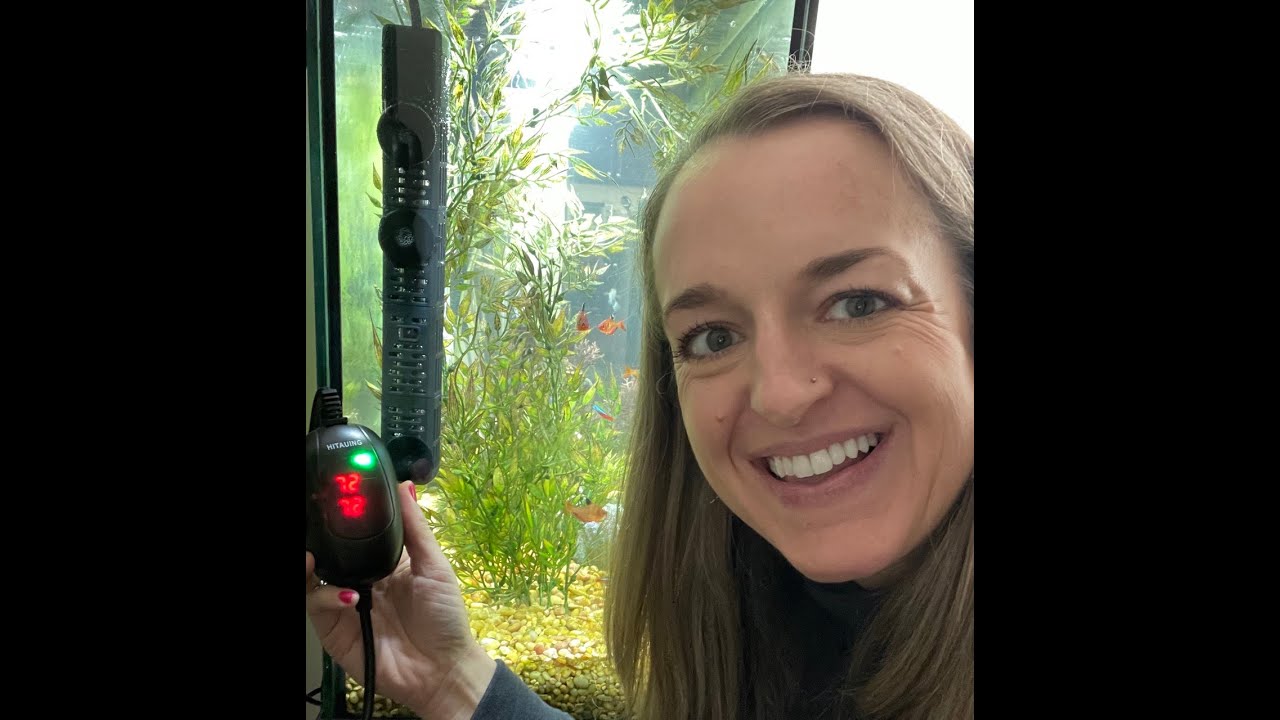 HiTauing Aquarium Heater, 50W/100W/200W/300W/500W Submersible Fish Tank Heater- REVIEW