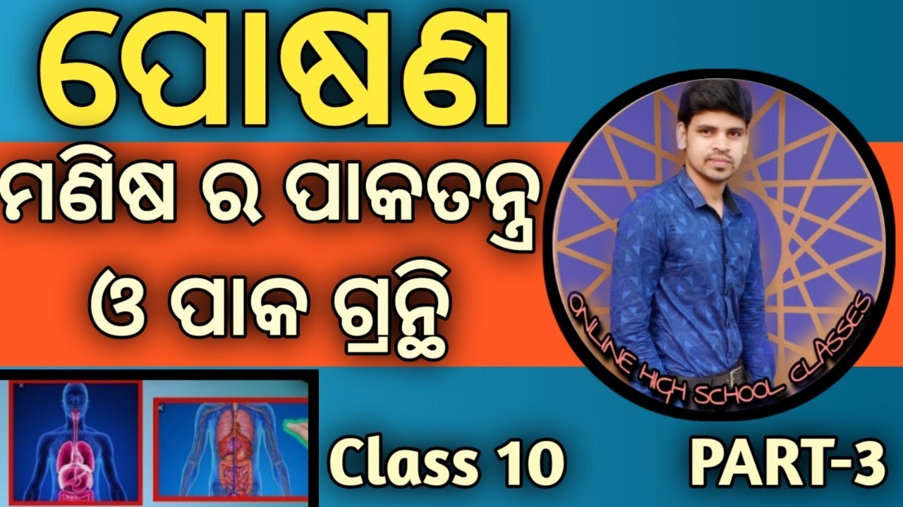 Nutrition For Class 10 odia || Digestive System Of Man ||Digestive glands ||ପୋଷଣ 10th Class ||