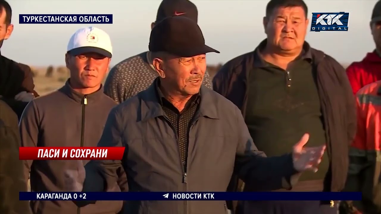 «На небе пасти?»: потомственные скотоводы жалуются в Туркестанской области