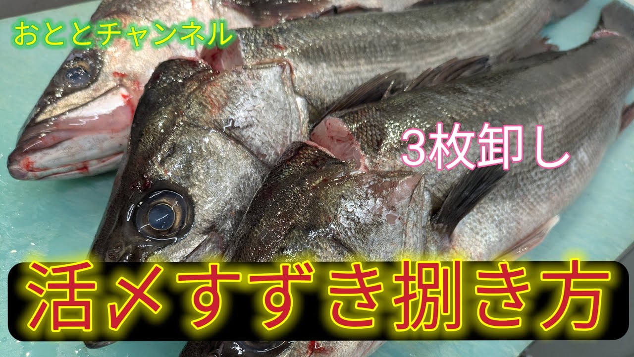 [魚の捌き方]すずき3枚卸し