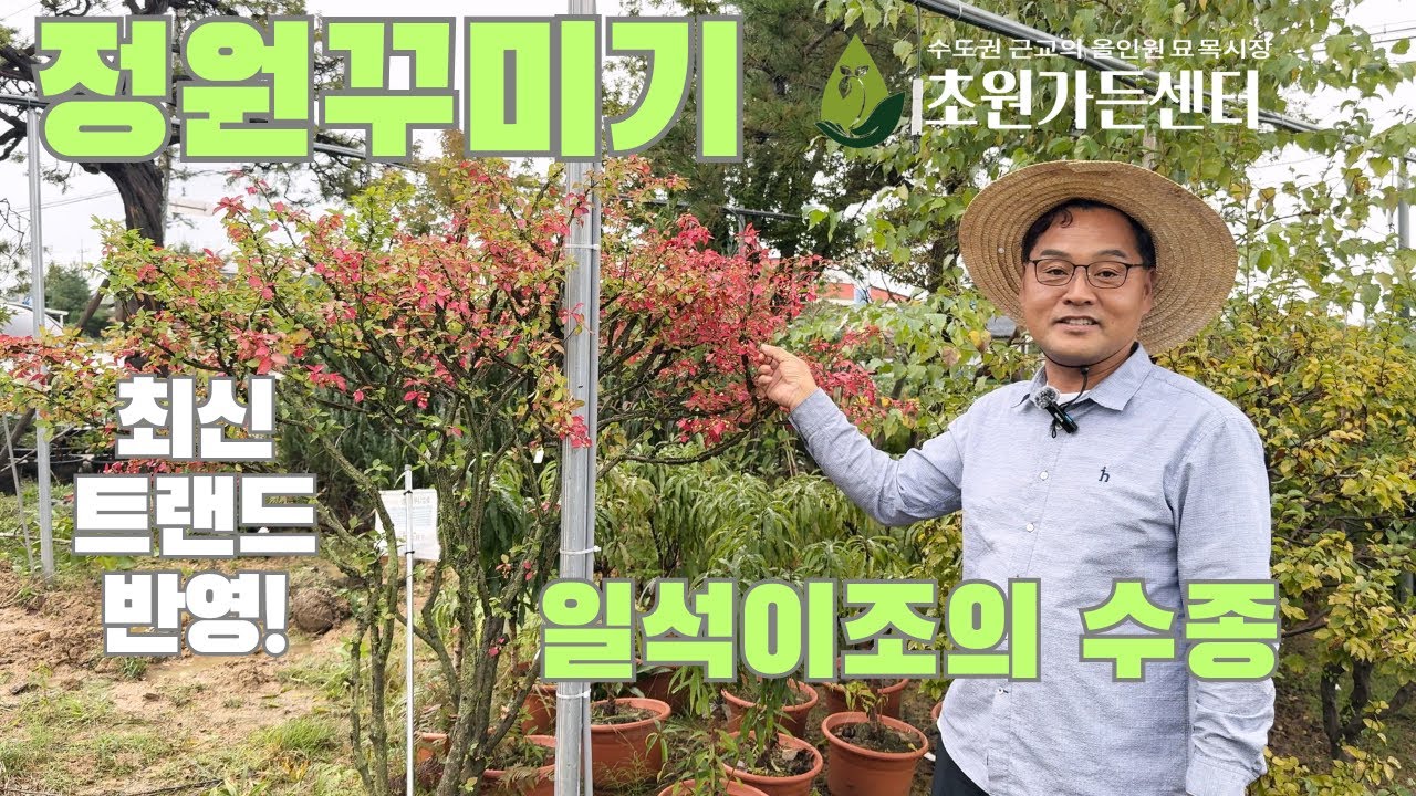 정원 꾸미기에 일석이조인 수종!!(최신 트랜드반영) [초원가든센터]
