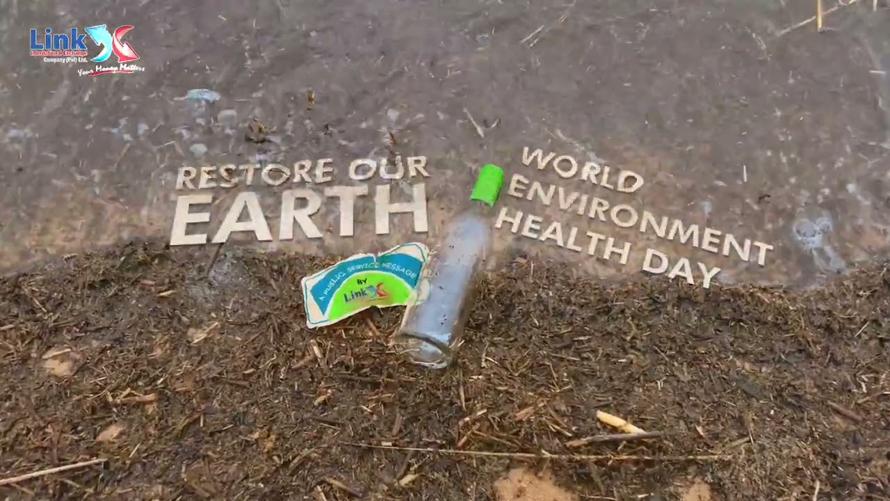 World Environment Health Day by Link Exchange
