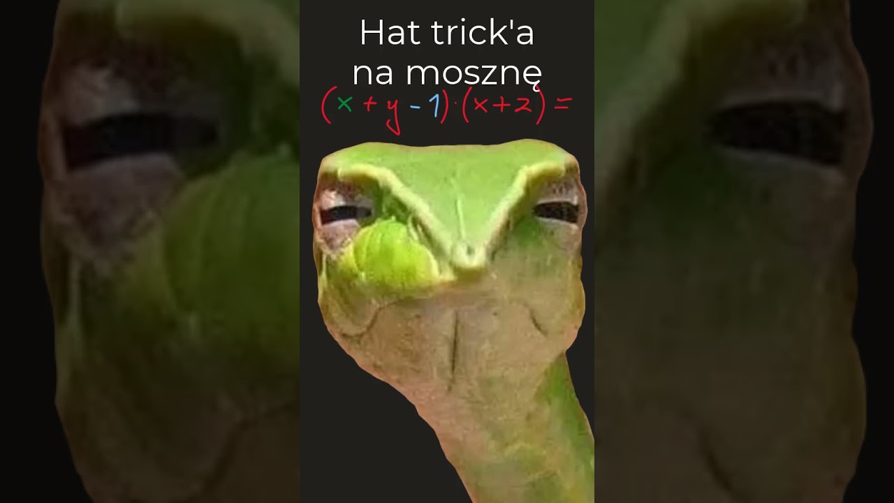 Mnożenie sum algebraicznych z dopaminowym wężem.
