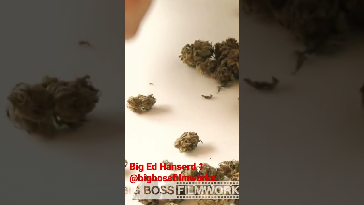 Big Ed Hanserd Pt 1