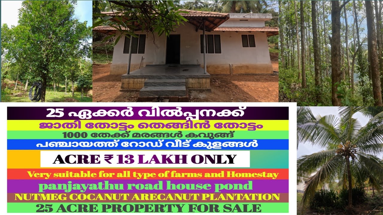 25 ഏക്കർ തെങ്ങിൻ തോട്ടം ജാതി തോട്ടം വിൽപ്പനക്ക് ഏക്കർ ₹13 ലക്ഷം /25 Acre agricultural land for sale