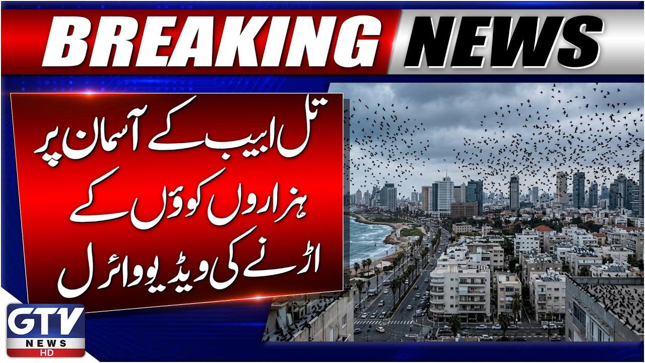 Thousands of Crows Over Tel Aviv | Video Viral On Social Media | Israel Latest Updates | GTV