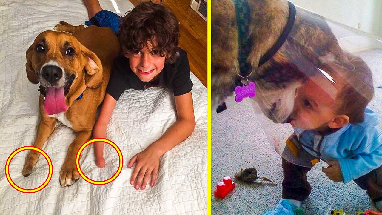 Wholesome Pictures That Show How Dogs Make Kids Life Better