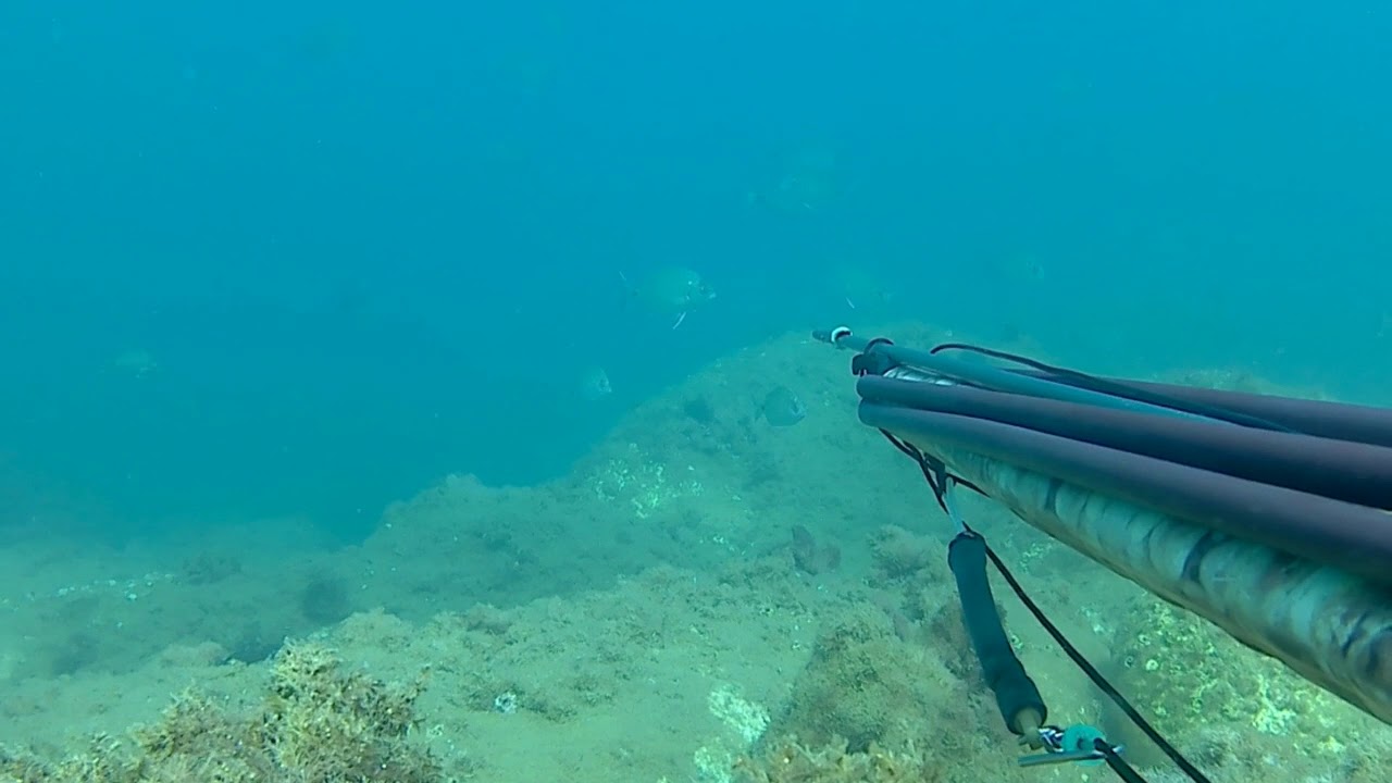 Pesca apnea Nicotera 2017 (Calabria unica...)