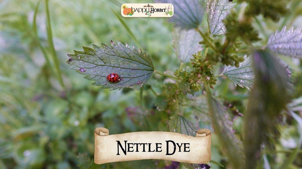 Я покрасила ткань крапивой (эксперимент хоббита с натуральными красителями).