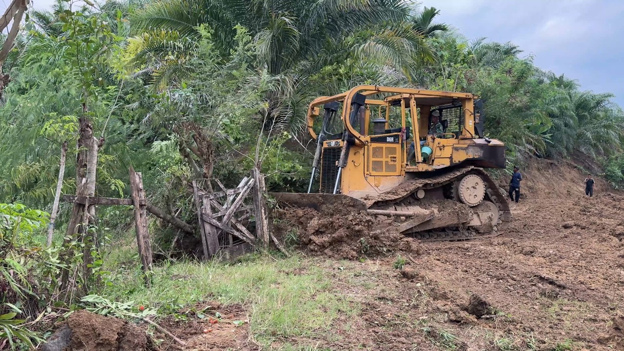 Repairing Oil Palm Plantation Roads with CAT D6R XL