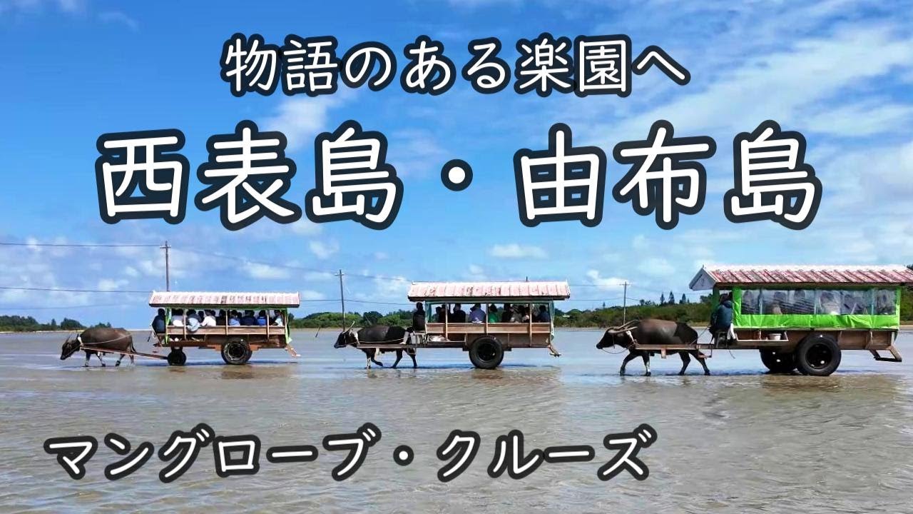 【西表島・由布島】石垣港発 日帰り離島観光ツアー　～西表島・由布島めぐりの旅～