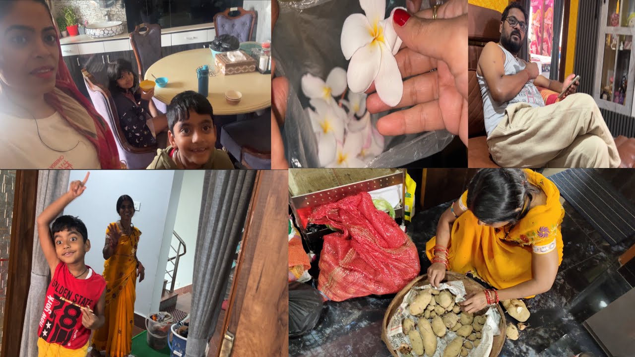 ଆମର ଆଳୁ ବେପାର ହବ🤣କେତେ ଚମ୍ପା ଫୁଲ ଫୁଟୁଛି ଆମ lawn ରେ🤗ନୂଆ ବର୍ଷ ରେ ମିତା କୁଆଡେ ବୁଲୁଚି😁