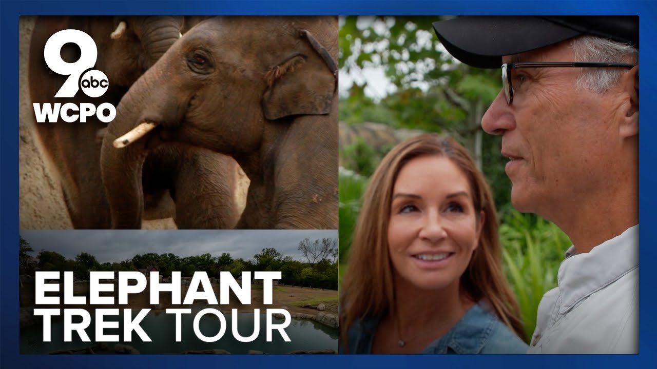 Sneak peek at Cincinnati Zoo's new elephant habitat