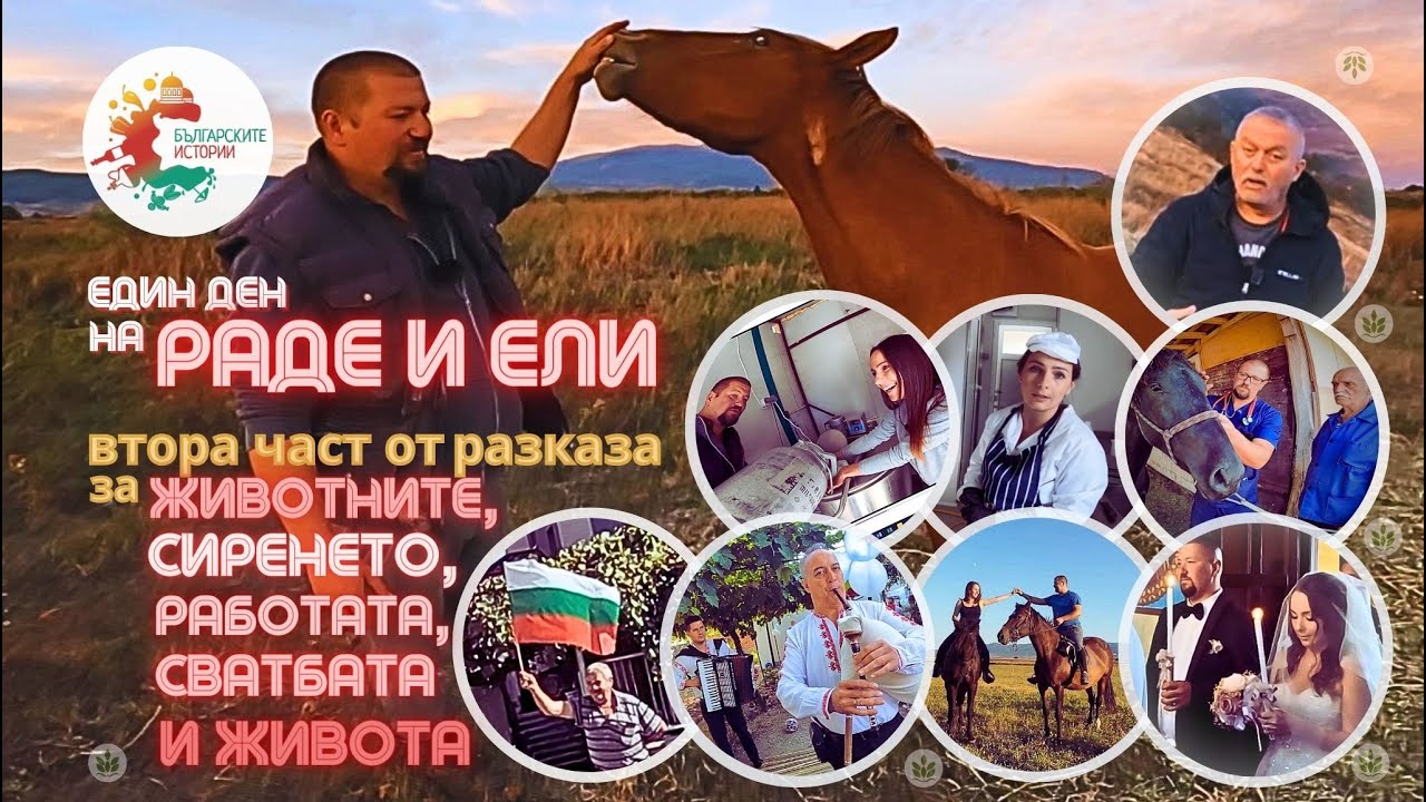 Истинско биволско сирене на Ели, сватбата на Ели и Раде, двама пациенти на Раде и неделна литургия