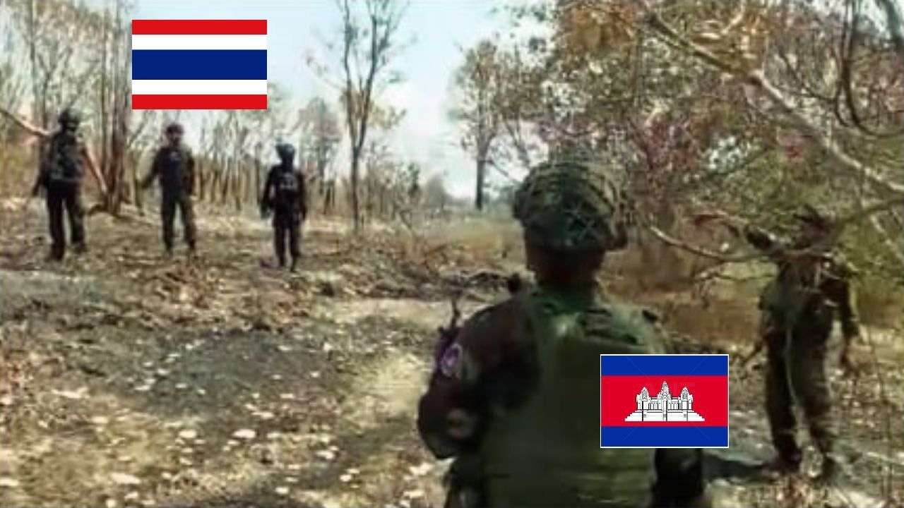 អាណែវនៅមិនស្ងៀមធ្វើអោយទ័ពព្រៃមិនបានសម្រាក