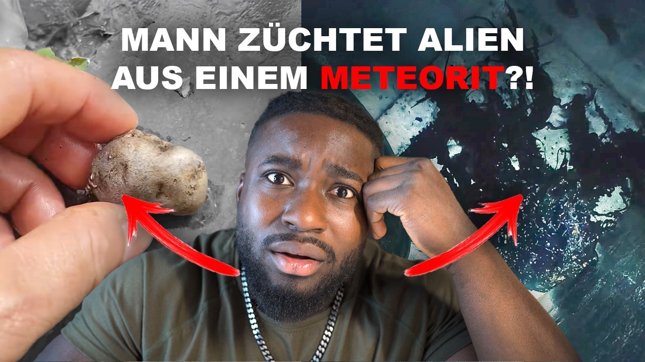 Panama Entdeckung: Meteoriten Stein bringt eine geheimnisvolle lebende Bedrohung ‼️