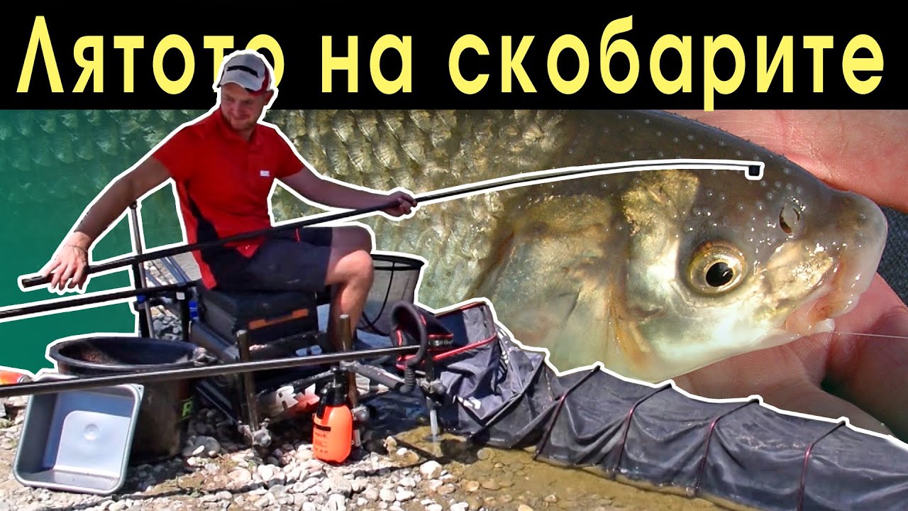 Лятото на СКОБАРИТЕ и как да надхитрим през АВГУСТ!