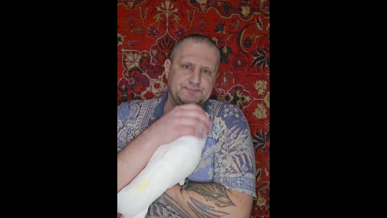 КАК ПРИРУЧИТЬ ПОПУГАЯ, ИЛИ ЛУЧШЕ КУПИТЬ УЖЕ РУЧНОГО? Не покупайте ДИКОГО попугая- это ОПАСНО!