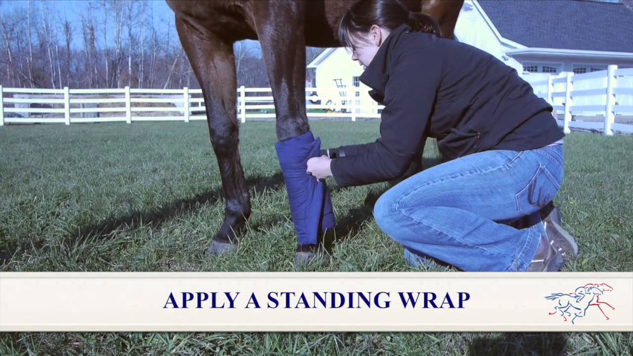 Bigeloil Quilted Poultice Leg Wraps