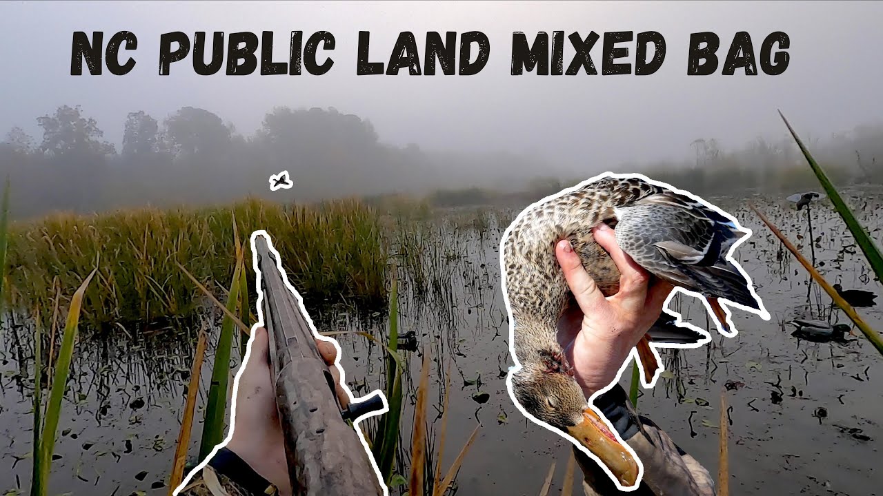 DUCK HUNTING 2020 - North Carolina OPENING DAY (Public Land)