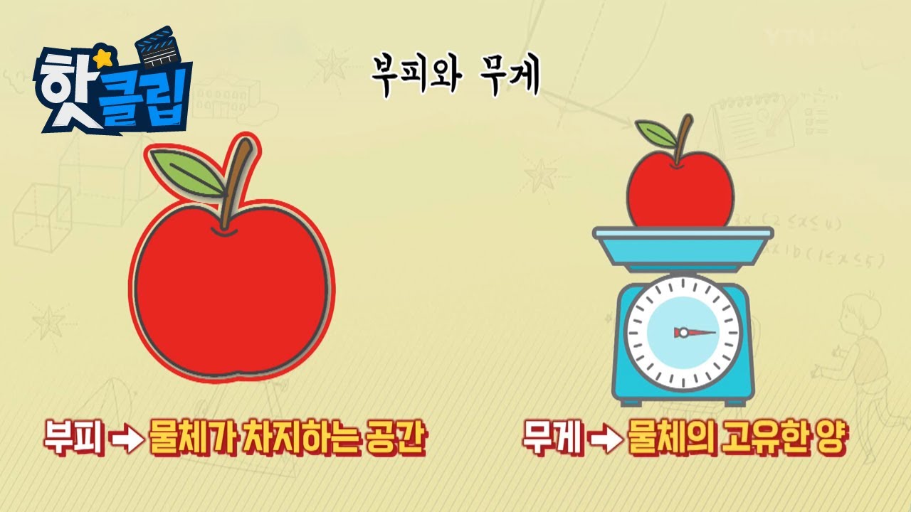 부피와 무게와 들이는 무엇이 다를까? [핫클립] / YTN 사이언스