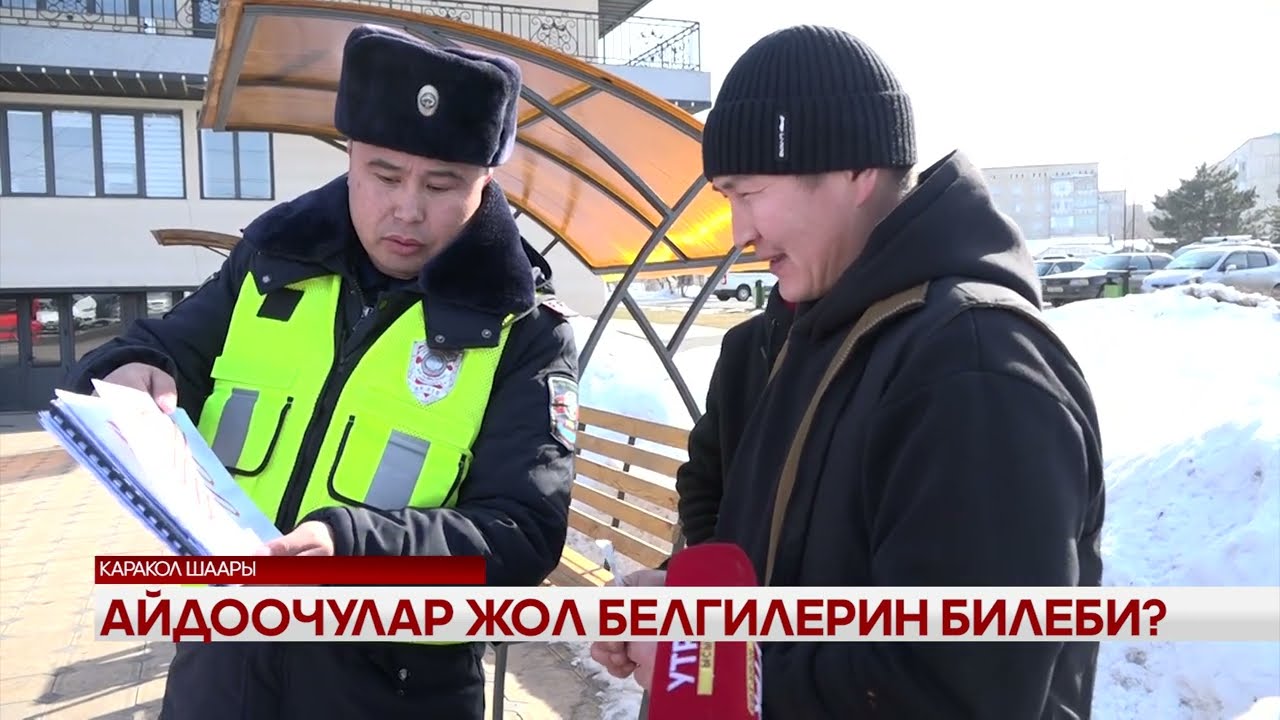 Айдоочулар жол белгилерин билеби?