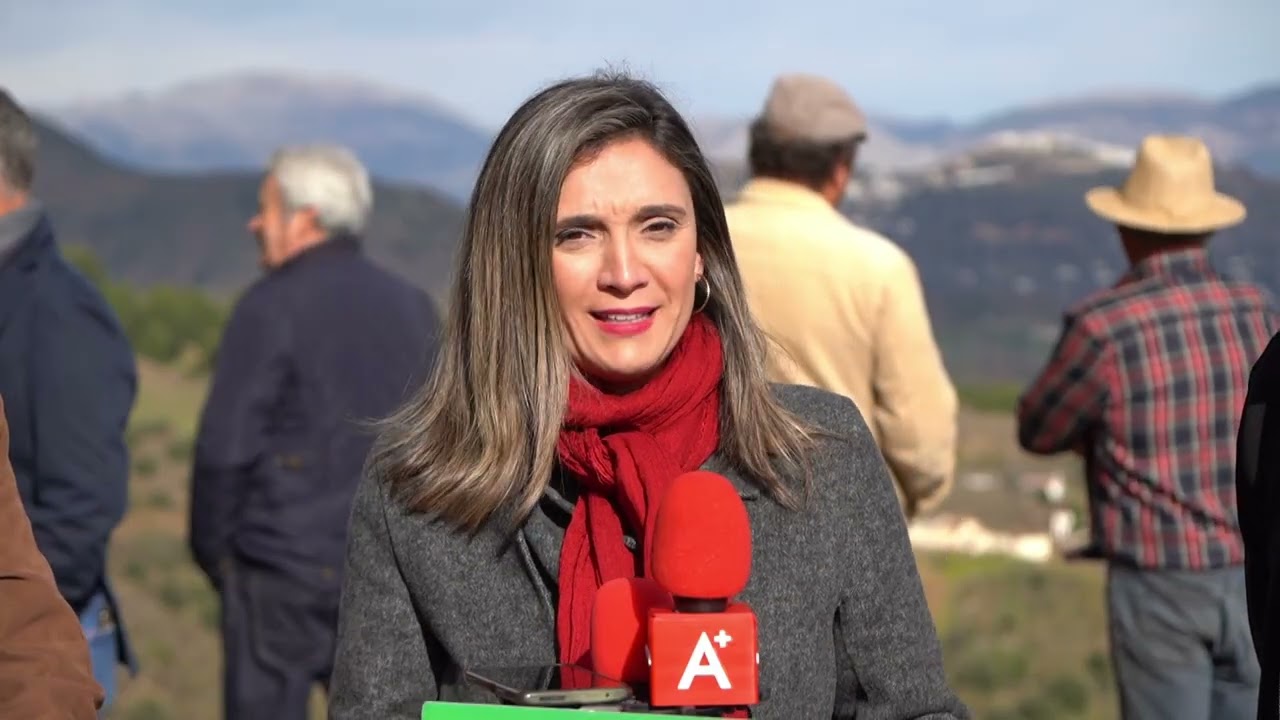 El PSOE andaluz exige a la Junta de Andalucía que apoye el SIPAM de la uva pasa de la Axarquía