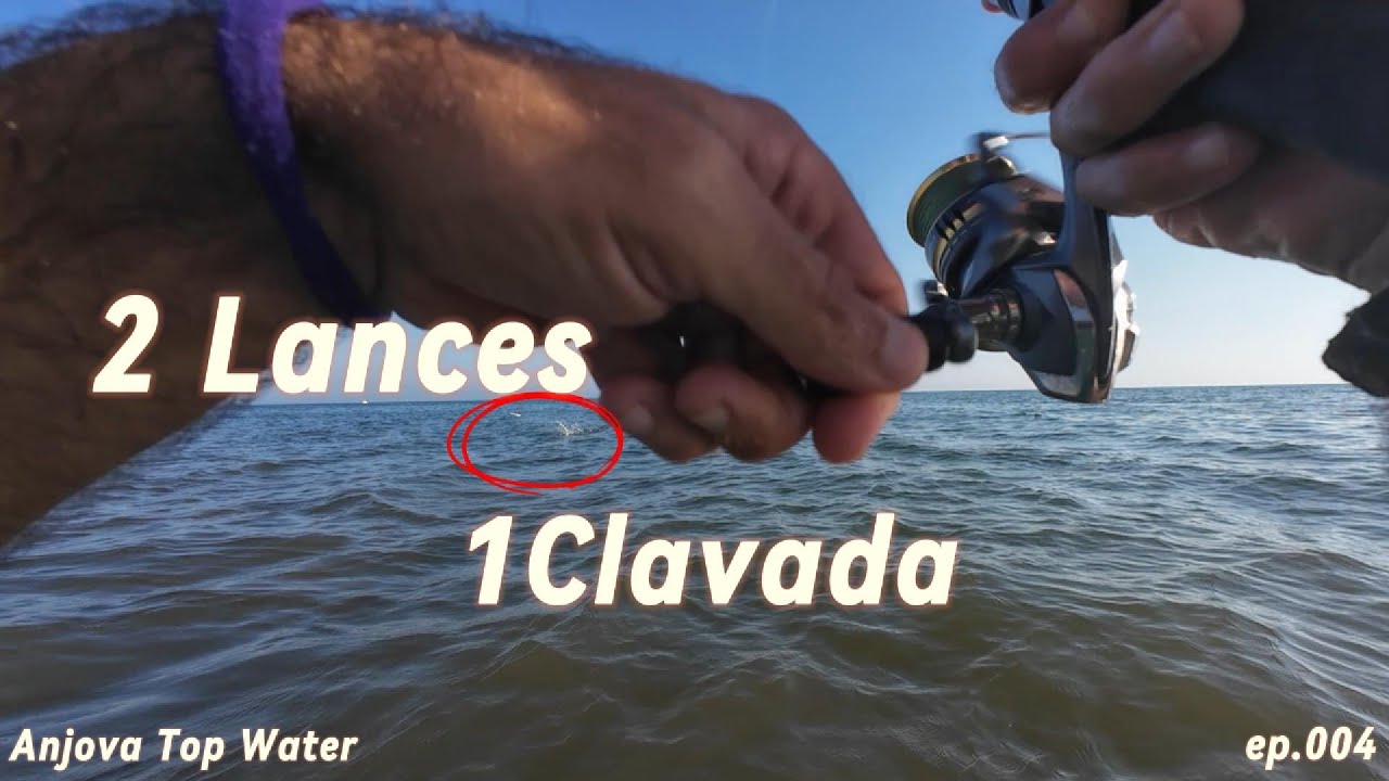 004 pesca de anjova, pesca de anchova, anjova en superficie, pesca a spinning, spinning en playa