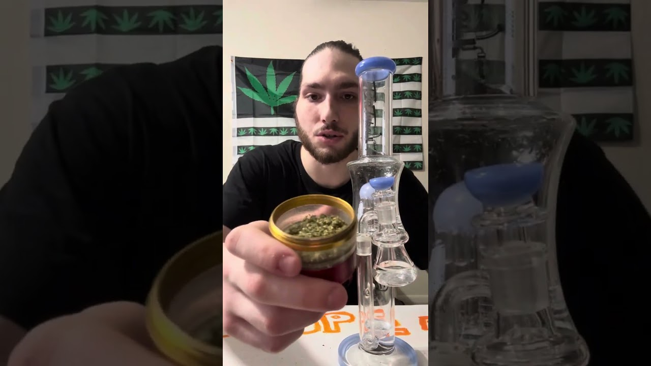 Strain review Bleu Zlushie out of the terp tube