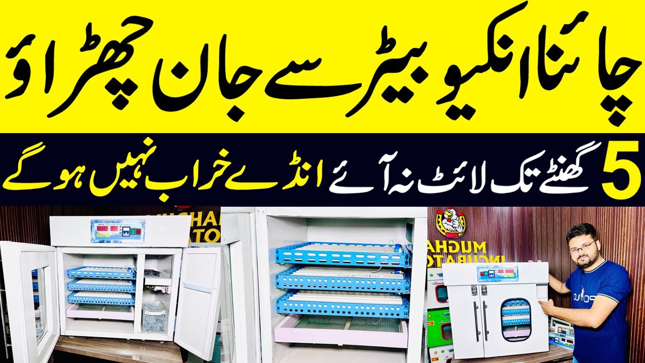 240 eggs Capacity fully Auto Incubators in  thermal Insulated  Metal Body No Need any UPS