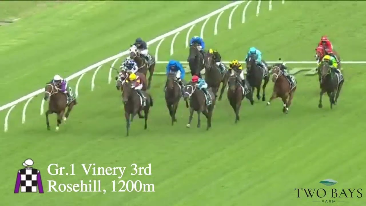 Nudge (Fastnet Rock/Julinsky Princess)