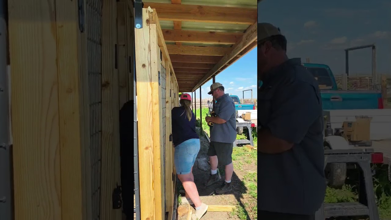 kennel Build Timelapse
