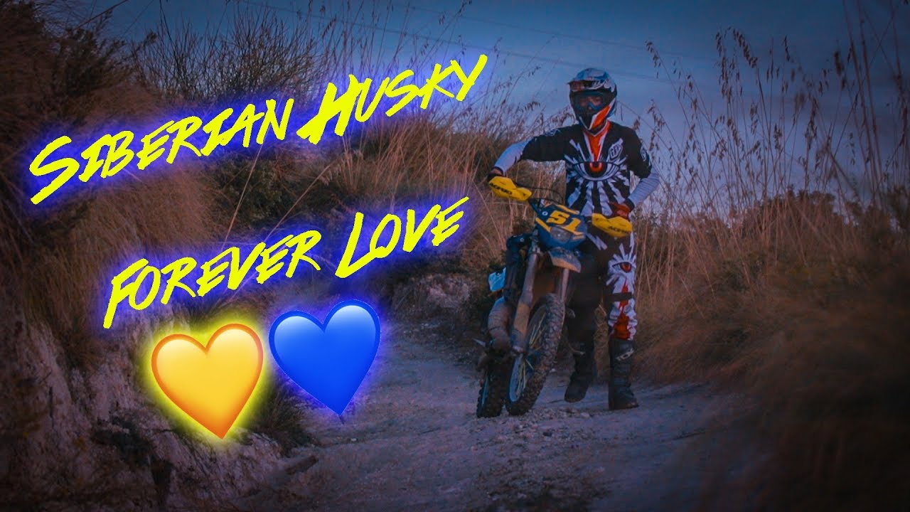 Husqvarna WRE 125 - My forever love - 100% Siberian Husky