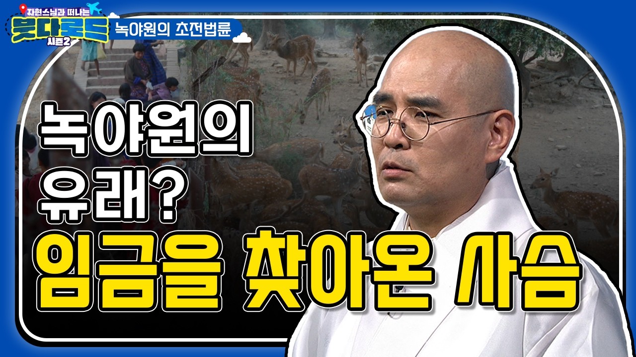 사슴 사냥을 좋아하던 임금에게 자의적으로 찾아간 사슴? [자현스님의 #붓다로드시즌2 39회] #자현스님