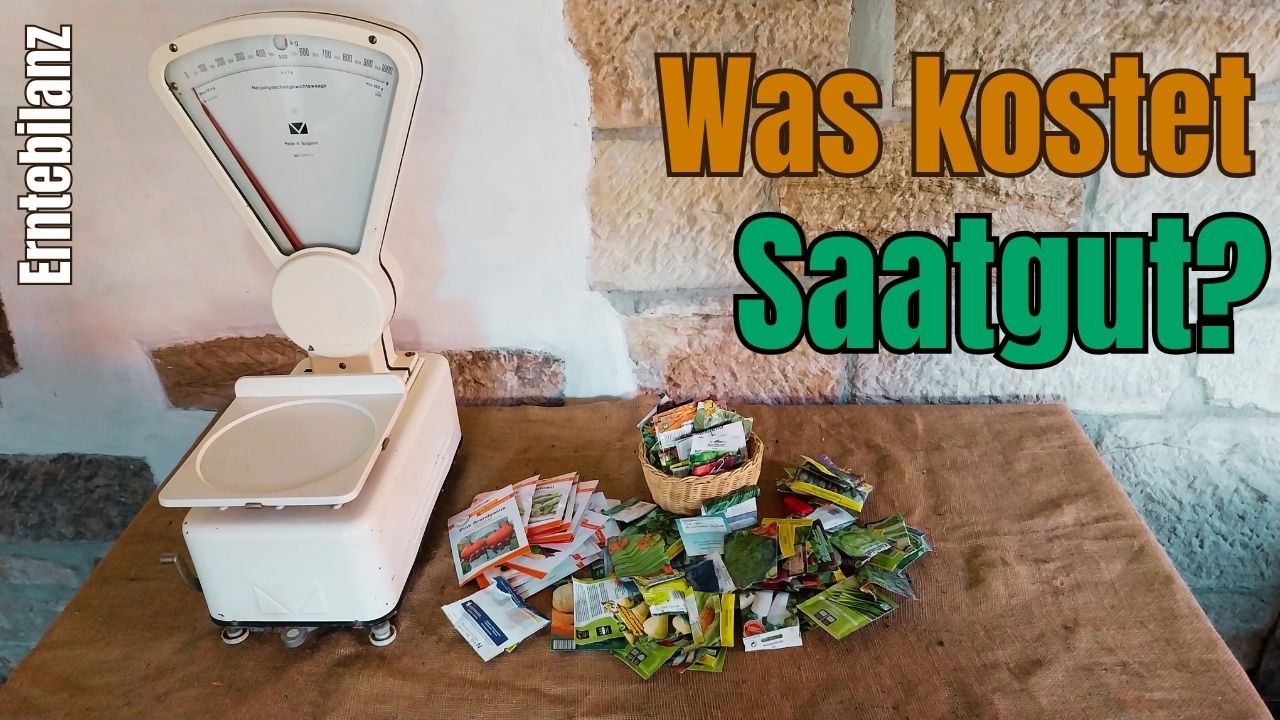 Was kostet Saatgut? 6 Spartipps für deinen Selbstversorgergarten.