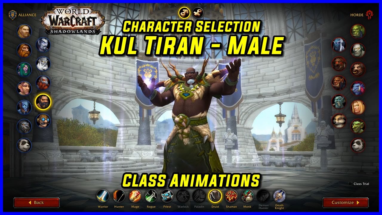WoW Class Animations - Kul Tiran Male - WoW Shadowlands  Character Creation Screen